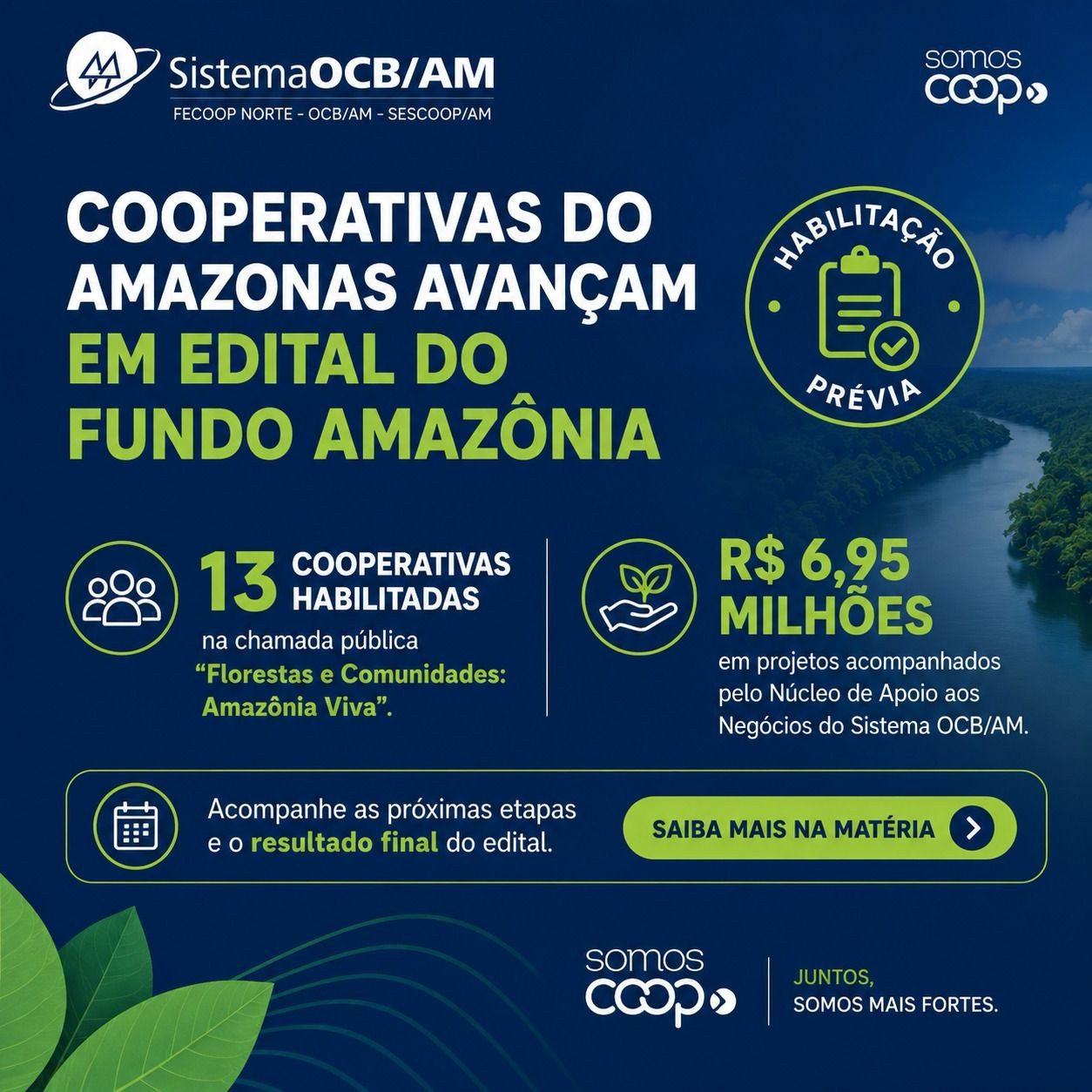 Cooperativas do Amazonas avançam em edital do Fundo Amazônia com apoio técnico do Sistema OCB/AM